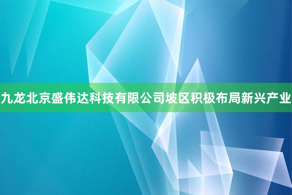 九龙北京盛伟达科技有限公司坡区积极布局新兴产业